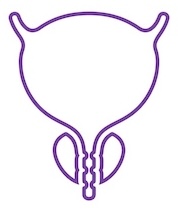 urologie